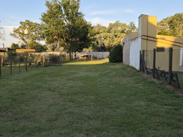 20260113_192830_copy_750x1000