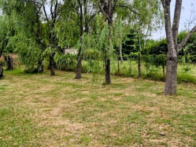 2fcbf5af-9cfc-44f4-a89c-6f7c01ae66fd 1