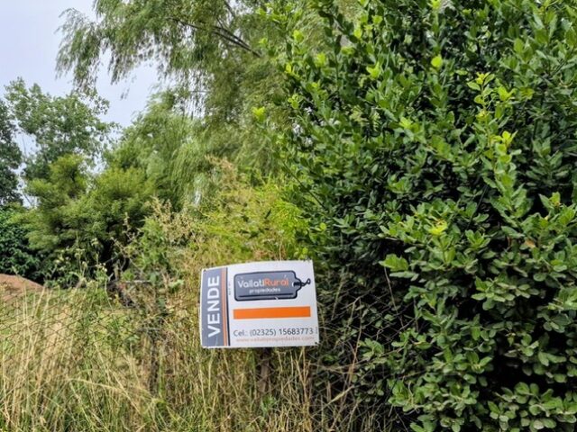 8d6e8137-72d3-4398-af07-d3c995b6911a