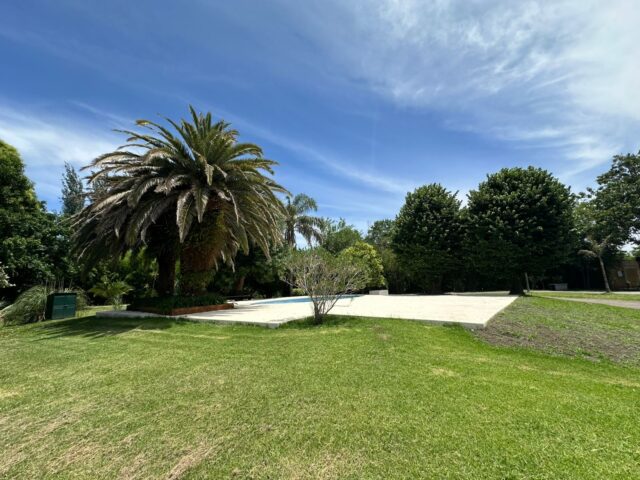 IMG-20260708-WA0059