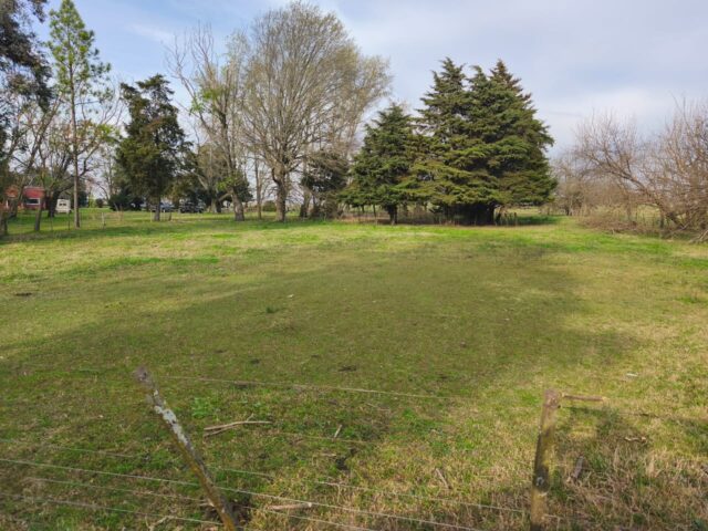 IMG-20260921-WA0011