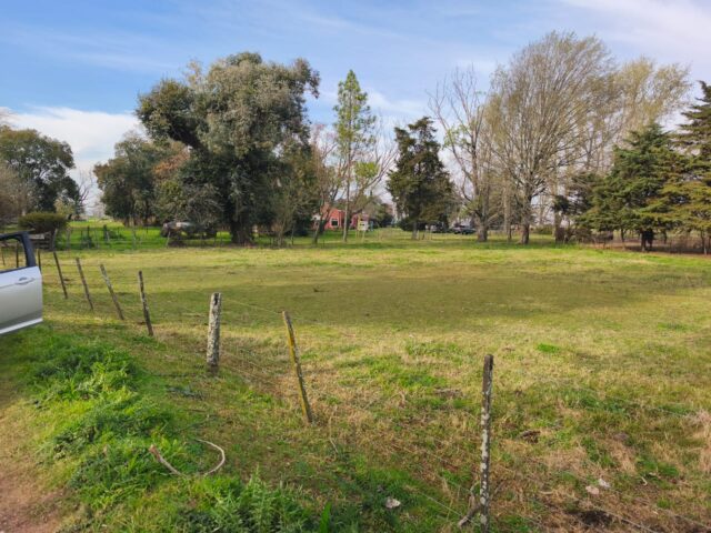 IMG-20260921-WA0012