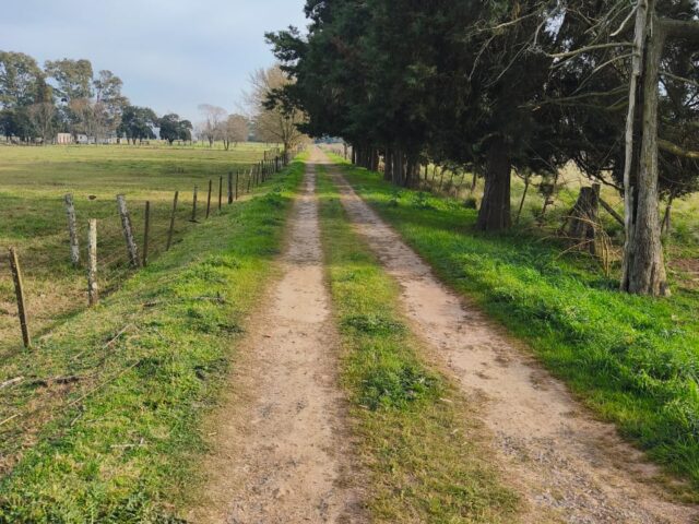 IMG-20260921-WA0014
