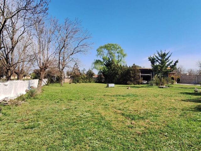 IMG-20260921-WA0026