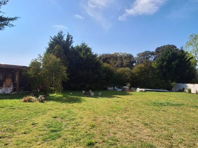 IMG-20260921-WA0029