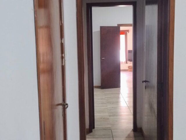 IMG_20241015_102455278