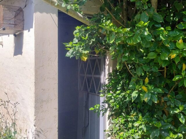 IMG_20241015_102636146_HDR