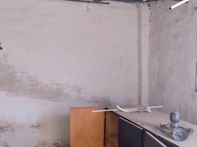 IMG_20241015_102659600