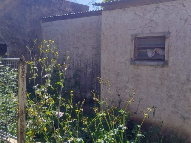 IMG_20241015_102716741_HDR