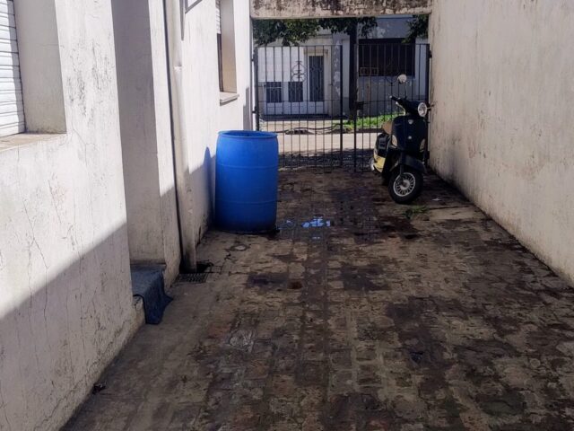 IMG_20241015_102846415