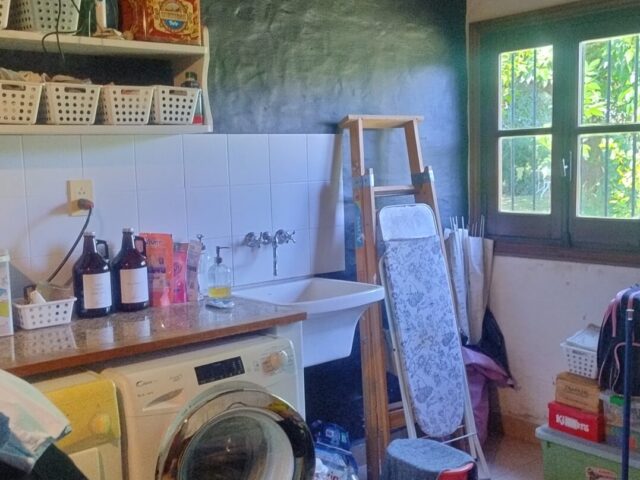 IMG_20250329_161438070_HDR