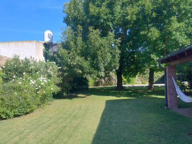 IMG_20250329_161658736_HDR