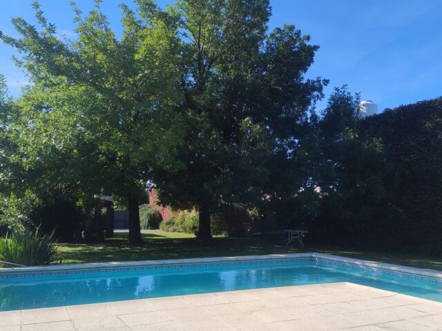 IMG_20250329_161816702