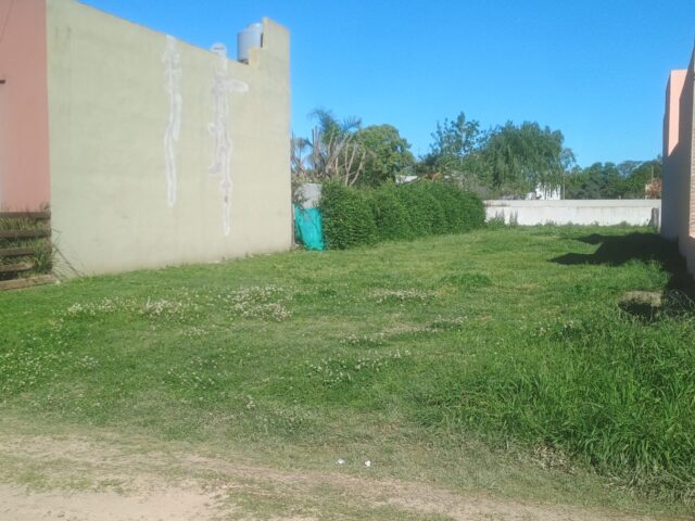 IMG_20251007_155235487