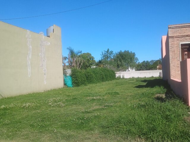 IMG_20251007_155242142