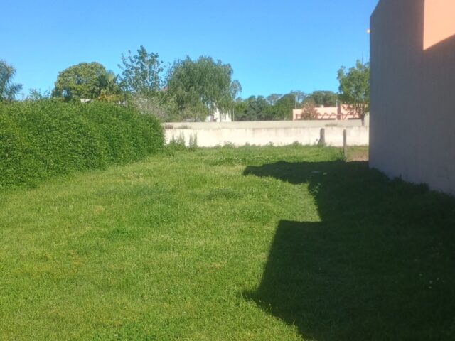 IMG_20251007_155310070_HDR