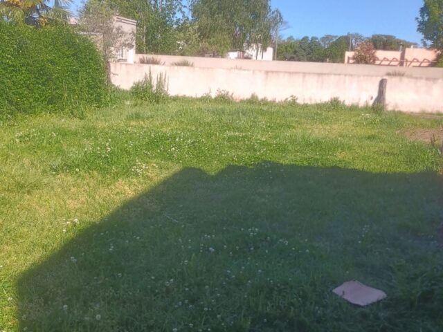 IMG_20251007_155322134_HDR