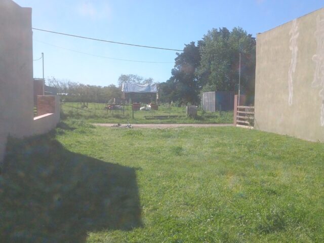 IMG_20251007_155325023