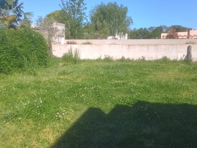 IMG_20251007_155406092_HDR