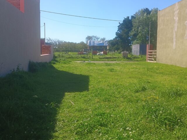 IMG_20251007_155413944