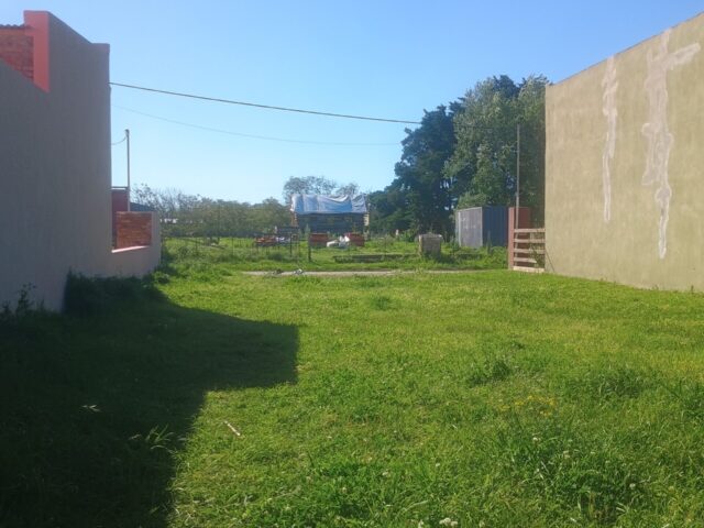 IMG_20251007_155415311