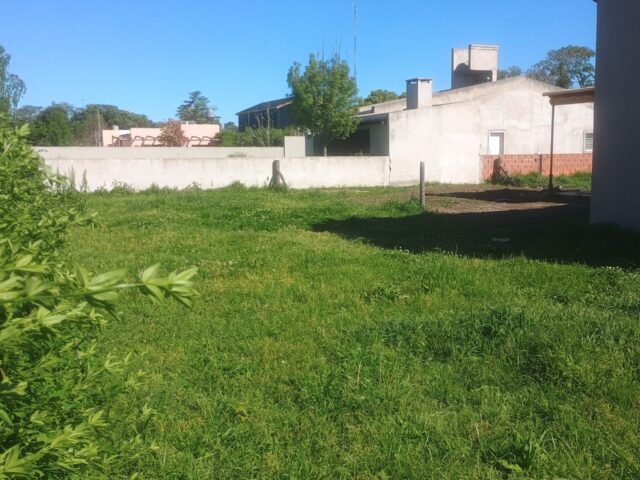 IMG_20251007_155430693