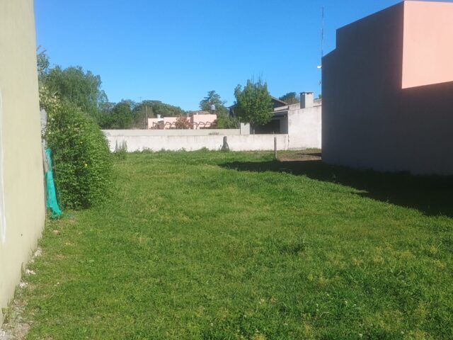 IMG_20251007_155443790