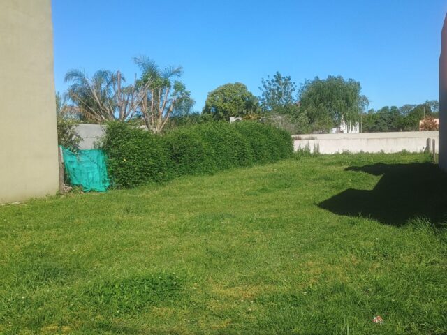 IMG_20251007_155455690