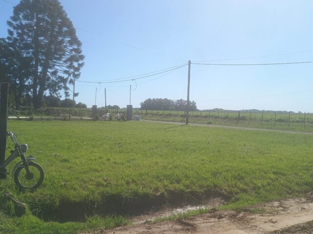 IMG_20251007_160129594