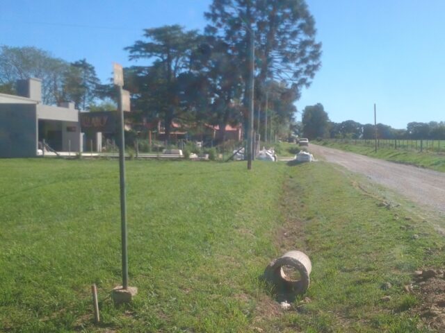 IMG_20251007_160249242