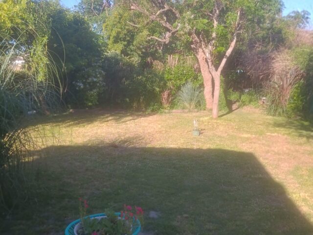 IMG_20251020_173032949_HDR