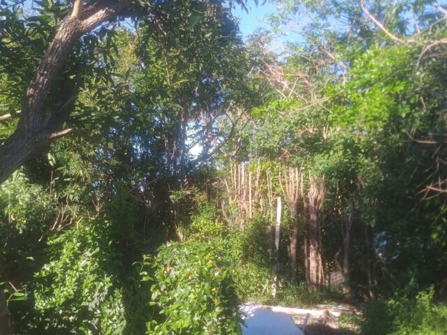 IMG_20251020_173046799_HDR