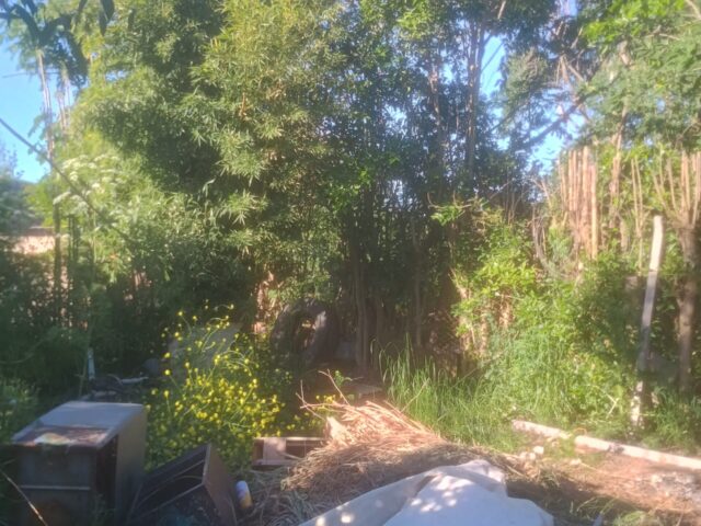 IMG_20251020_173050788_HDR