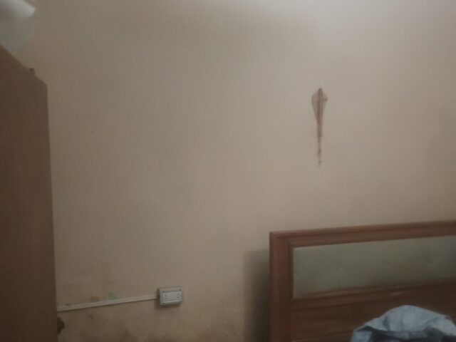 IMG_20251020_173249833