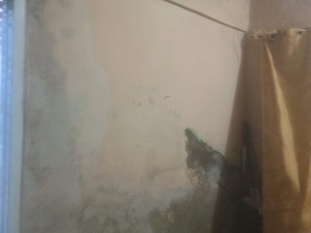 IMG_20251020_173328683_HDR