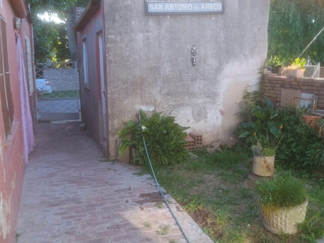 IMG_20251020_173509253