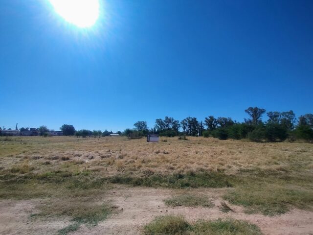 IMG_20260210_161621539_AE