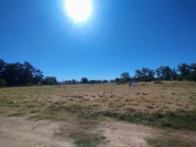 IMG_20260210_161625016_AE