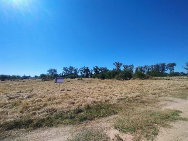 IMG_20260210_161626536_AE