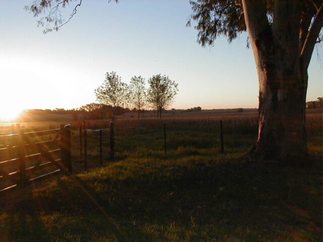 Imagen11