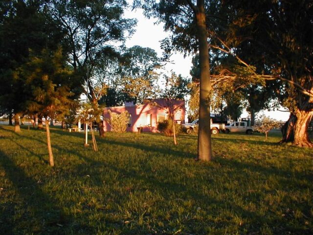Imagen5
