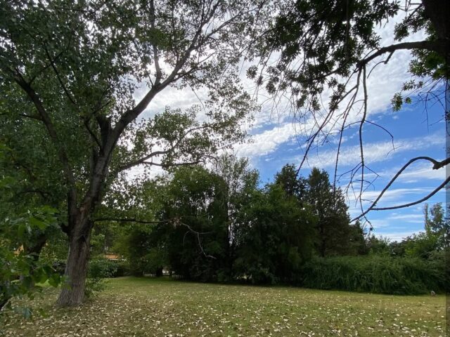 Screenshot_20250804-104925