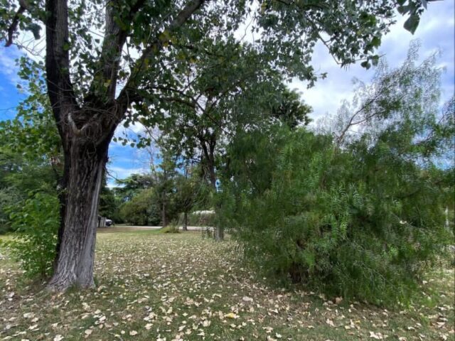 Screenshot_20250804-104928