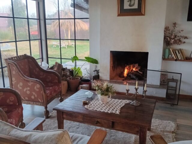 WhatsApp Image 2025-09-08 at 17.11.16