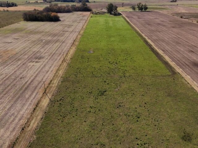 dji_fly_20260511_113157_0_1778509917978_photo_low_quality