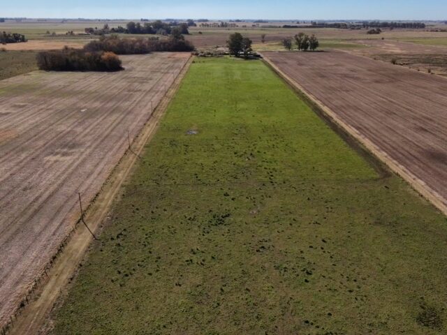 dji_fly_20260511_113204_0_1778509924197_photo_low_quality