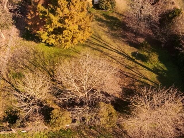 dji_fly_20260627_111143_0_1782569503564_photo_low_quality