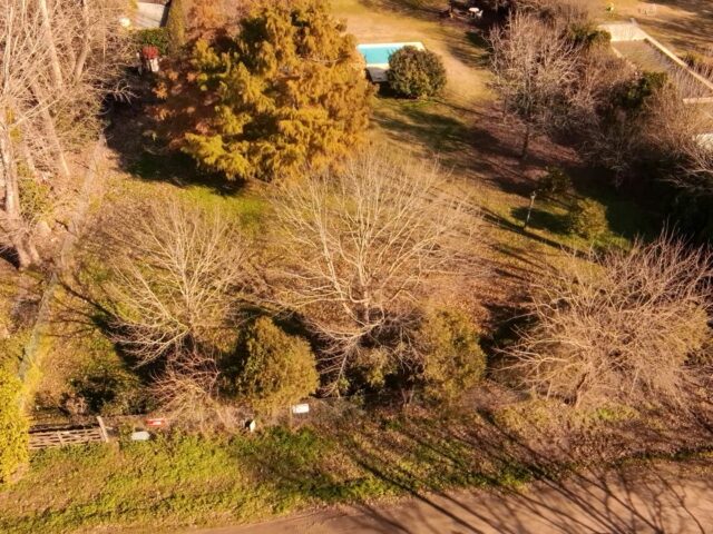 dji_fly_20260627_111223_0_1782569543416_photo_low_quality