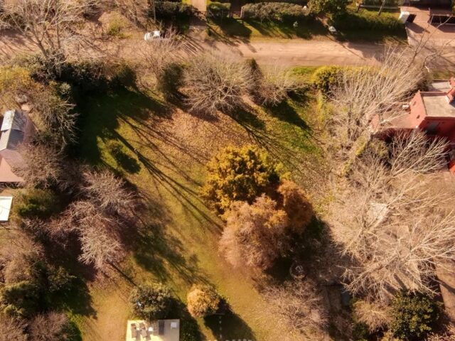 dji_fly_20260627_111341_0_1782569621848_photo_low_quality