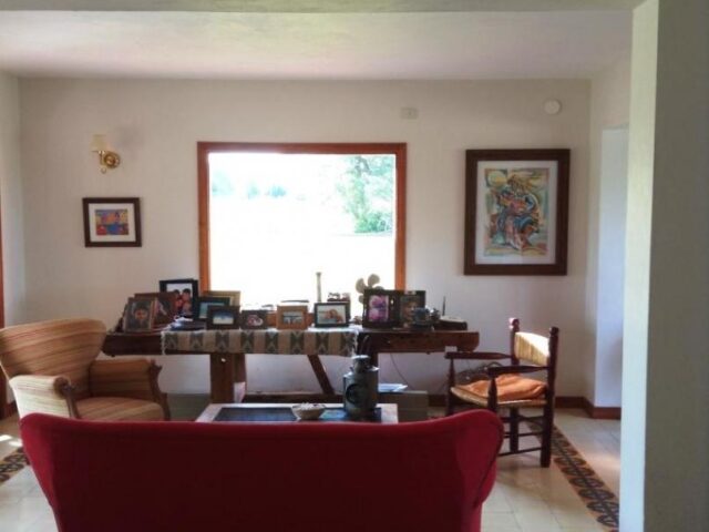 extra_large_u_5b2bf1b184af7